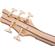 Jackson Spectra Bass SBP IV: Picture 7 thumbnail