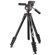 JOBY Compact Advanced Tripod: Picture 8 thumbnail