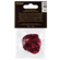 Dunlop Celluloid Pick: Picture 4 thumbnail