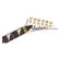 Jackson Rhoads RR24: Picture 6 thumbnail