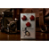 J Rockett Archer: Picture 6 thumbnail