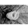 JTL 92172 DL-110 Fluorescent Soft Box Kit I with Two 55W CFL, 24x32" Softboxes, Light Stands, Carry Case: Picture 2 thumbnail