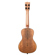 Kala Curly Mango Ukulele, Natural: Picture 2 thumbnail