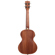 Kala Archtop Tenor Ukulele with EQ: Picture 2 thumbnail