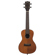 Kala Satin Hawaiian Koa Ukulele: Picture 1 thumbnail