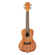 Kala Mandy Harvey Signature: Picture 1 thumbnail