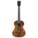 Kala Premier Exotic Bocote Ukulele: Video 1 thumbnail