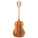 Kala Gloss Solid Acacia: Picture 2 thumbnail