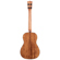 Kala Gloss Solid Acacia: Picture 2 thumbnail