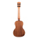 Kala Gloss Solid Acacia: Picture 2 thumbnail