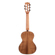 Kala Gloss Solid Acacia: Picture 2 thumbnail
