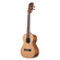 Kala Gloss Solid Acacia: Picture 3 thumbnail