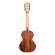 Kala Gloss Solid Acacia: Picture 2 thumbnail