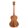 Kala Gloss Solid Acacia: Picture 2 thumbnail