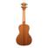 Kala Solid Spruce Top Mahogany: Picture 3 thumbnail