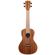 Kala Solid Mahogany Concert: Picture 1 thumbnail