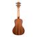 Kala Solid Mahogany Concert: Picture 3 thumbnail