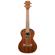 Kala Scallop Cutaway: Picture 1 thumbnail