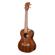 Kala Scallop Cutaway: Picture 2 thumbnail