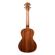 Kala Scallop Cutaway: Picture 3 thumbnail