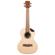 Kala Scallop Cutaway: Picture 4 thumbnail