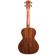 Kala Scallop Cutaway: Picture 1 thumbnail