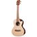 Kala Scallop Cutaway: Picture 2 thumbnail