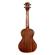 Kala Travel Tenor: Picture 3 thumbnail