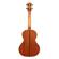 Kala Solid Spruce Tenor: Picture 3 thumbnail