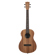 Kala Teak: Picture 1 thumbnail