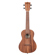 Kala Teak Ukulele, Natural: Picture 1 thumbnail