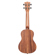 Kala Teak Ukulele, Natural: Picture 2 thumbnail