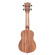 Kala Teak Ukulele, Natural: Picture 2 thumbnail
