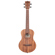 Kala Teak Ukulele, Natural: Picture 1 thumbnail
