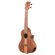 Kala Teak Tri-Top Florentine Cutaway Uku...: Picture 4 thumbnail