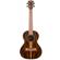 Kala Gloss Ziricote Tenor: Picture 1 thumbnail