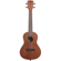 Kala Learn to Play Ukulele Starter Kit: Picture 2 thumbnail