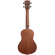 Kala Learn to Play Ukulele Starter Kit: Picture 3 thumbnail