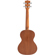 Kala Mandy Harvey Ukulele: Picture 3 thumbnail