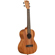 Kala Learn to Play Ukulele Starter Kit: Picture 4 thumbnail