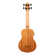 Kala U-BASS Nomad: Picture 2 thumbnail