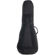Kala Gig Bag: Picture 1 thumbnail