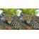 Kandao QooCam EGO: Picture 8 thumbnail
