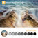 K&F Concept Nano-X Pro VND Filter: Picture 13 thumbnail