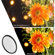 K&F Concept Nano-X Black Mist: Picture 11 thumbnail