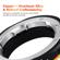 K&F Concept M20105 Leica M Lenses to Son...: Picture 4 thumbnail