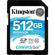 Kingston Technology Canvas Go!: Picture 1 thumbnail
