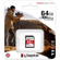 Kingston Technology Canvas React Plus: Picture 2 thumbnail