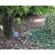 KJB Security Products Xtreme Life: Picture 3 thumbnail