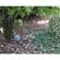KJB Security Products SC7000WF: Picture 2 thumbnail
